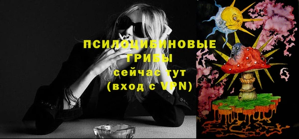 ешки Вяземский