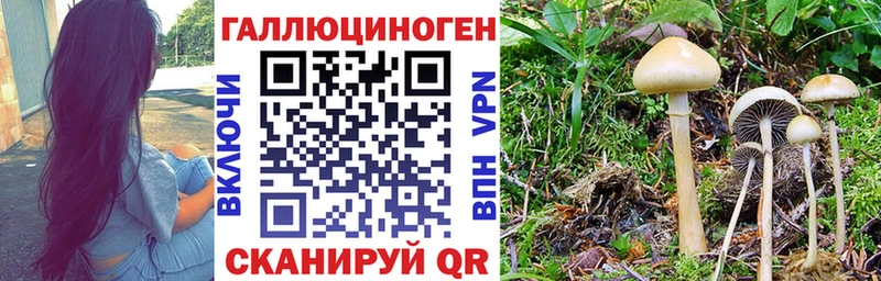 магазин  наркотиков  Ермолино  Галлюциногенные грибы MAGIC MUSHROOMS 